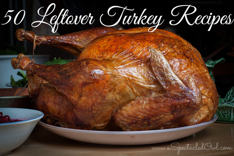 50 Leftover Thanksgiving Turkey Recipes