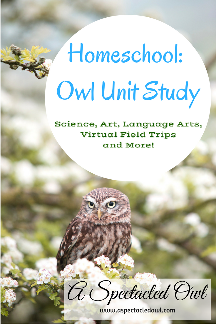 Homeschool: Owl Unit Study - Owls are majestic, beautiful creatures that pretty much anyone can enjoy learning about. I love that homeschooling offers so many options, especially when it comes to Unit Studies. Use this Owl Unit Study to get the thinking train started... and let us know where it goes!