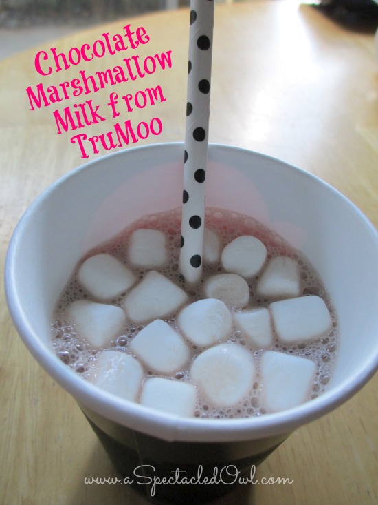 TruMoo Chocolate Marshmallow Milk