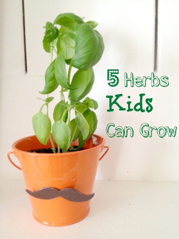 5 Herbs That Are Easy Enough For Kids To Grow