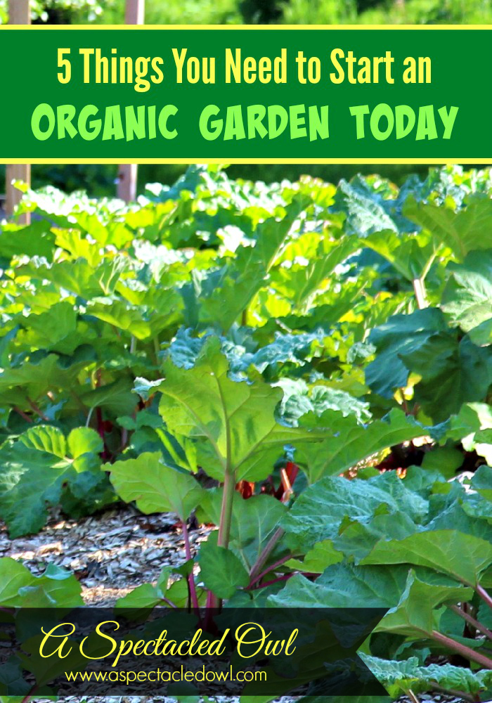 5 Things You Need to Start an Organic Garden Today