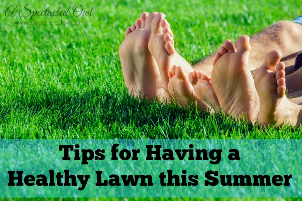 Tips for Having a Healthy Lawn this Summer #LiveLifeOutside #IC AD