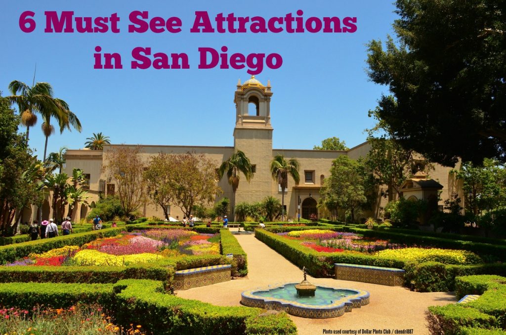 6-must-see-attractions-in-san-diego-a-spectacled-owl