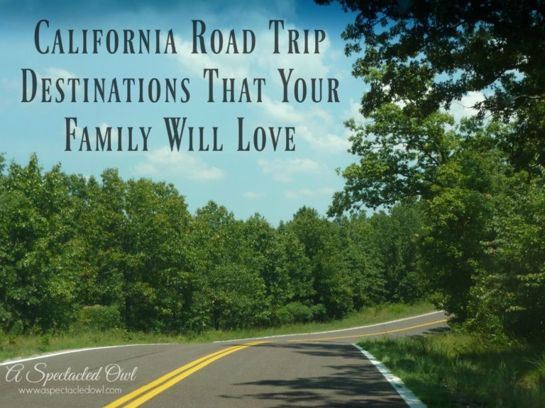 California Road Trip Destinations That Your Family Will Love