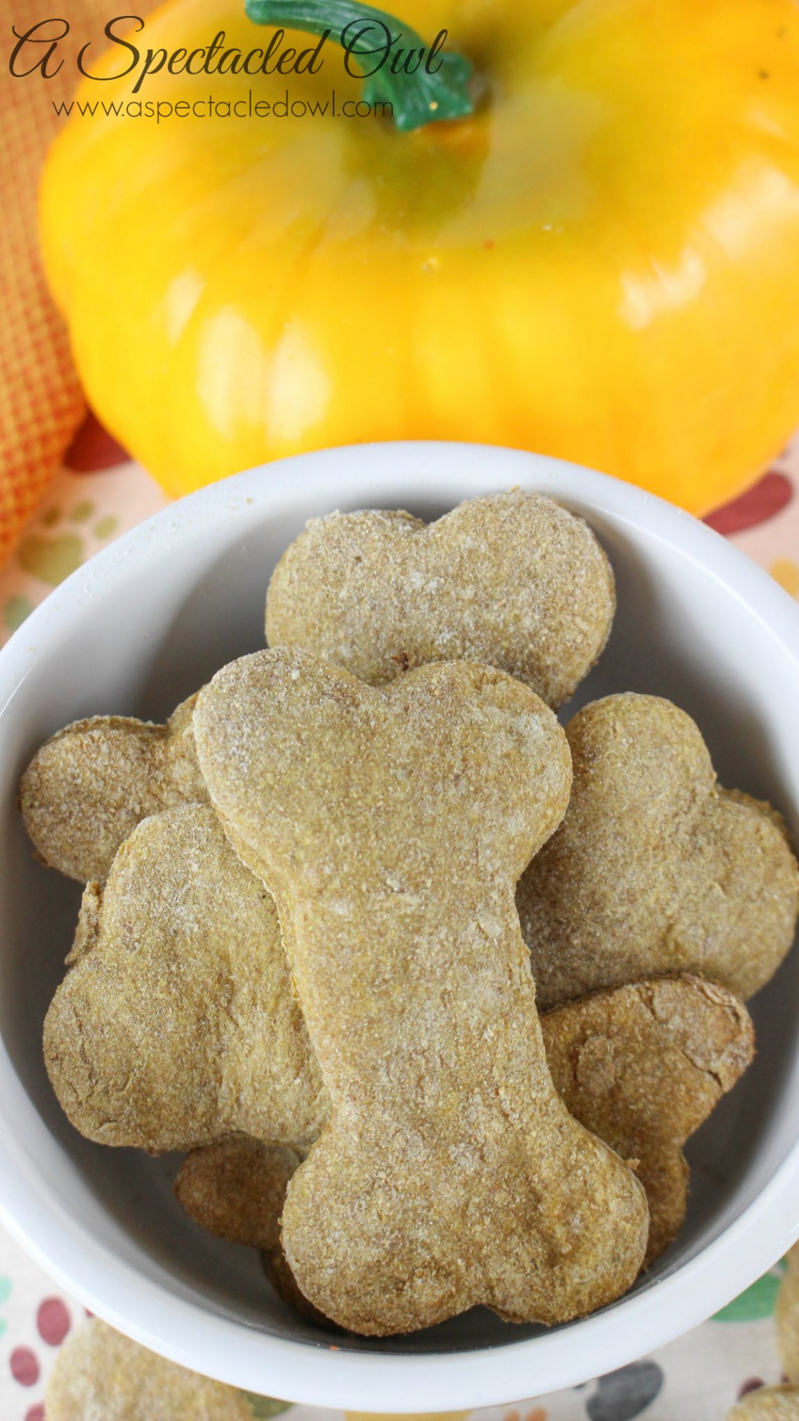 Thumbnail for Can I Give My Dog Banana Muffin With Pumpkin