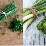 Whether you’re a seasoned cook or have recently started to try your hand at homemade meals, you’ve likely come across recipes calling for chives or scallions. But what’s the difference? Do they have a similar flavor and can they be used interchangeably in recipes?