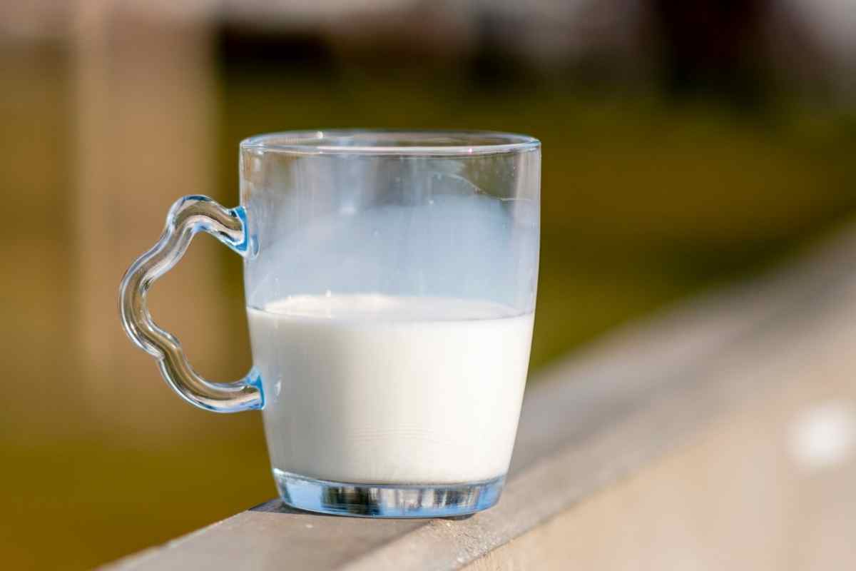 When buttermilk isn’t stored in proper conditions, or if it’s been stored for too long, it can become spoiled, just like any other dairy drink. Consuming spoiled food is a health risk, so it’s important to learn how to tell if buttermilk is bad.  