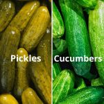 There’s no denying that pickles and cucumbers look similar; they're also both delicious and crunchy. That may leave you wondering, ‘Are they the same?’ or ‘If they are different then in what ways?’.