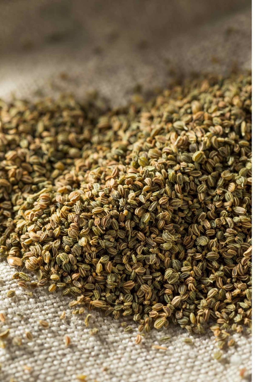 The flavor of dill weed is quite unique due to its earthy and almost grassy essence. It is a very fragrant herb that provides a great addition to Middle Eastern and North African cuisine. If your recipe calls for dill but you don’t have any, there are some great Dill Substitutes you can use.