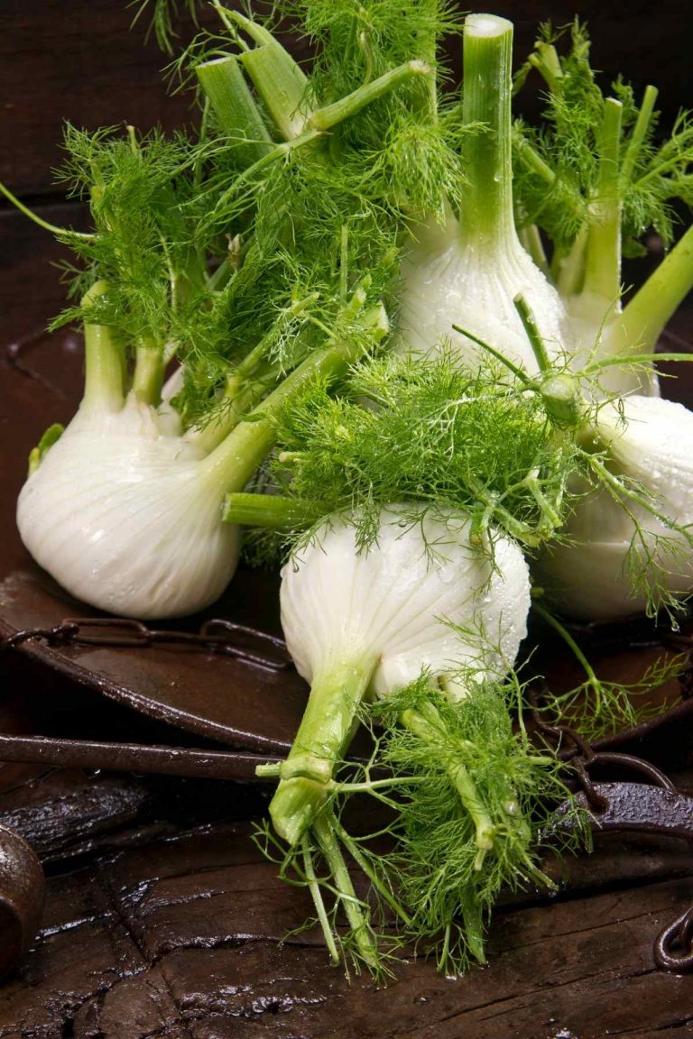 Not to be confused with funnel cakes, fennel is actually a vegetable that boasts a fresh, and aromatic flavor. auté it, roast it or add it to your soups and sauces - the choices are endless here.