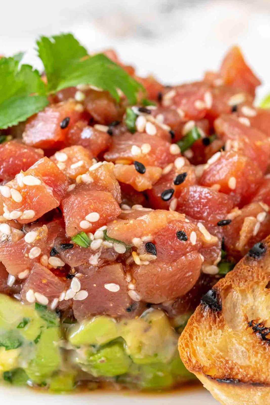Tuna Tartar is loaded with delicious cubes of raw, sashimi-grade tuna that has been lightly seasoned. The tuna is placed atop creamy avocado for a flavor combo that’s out of this world.