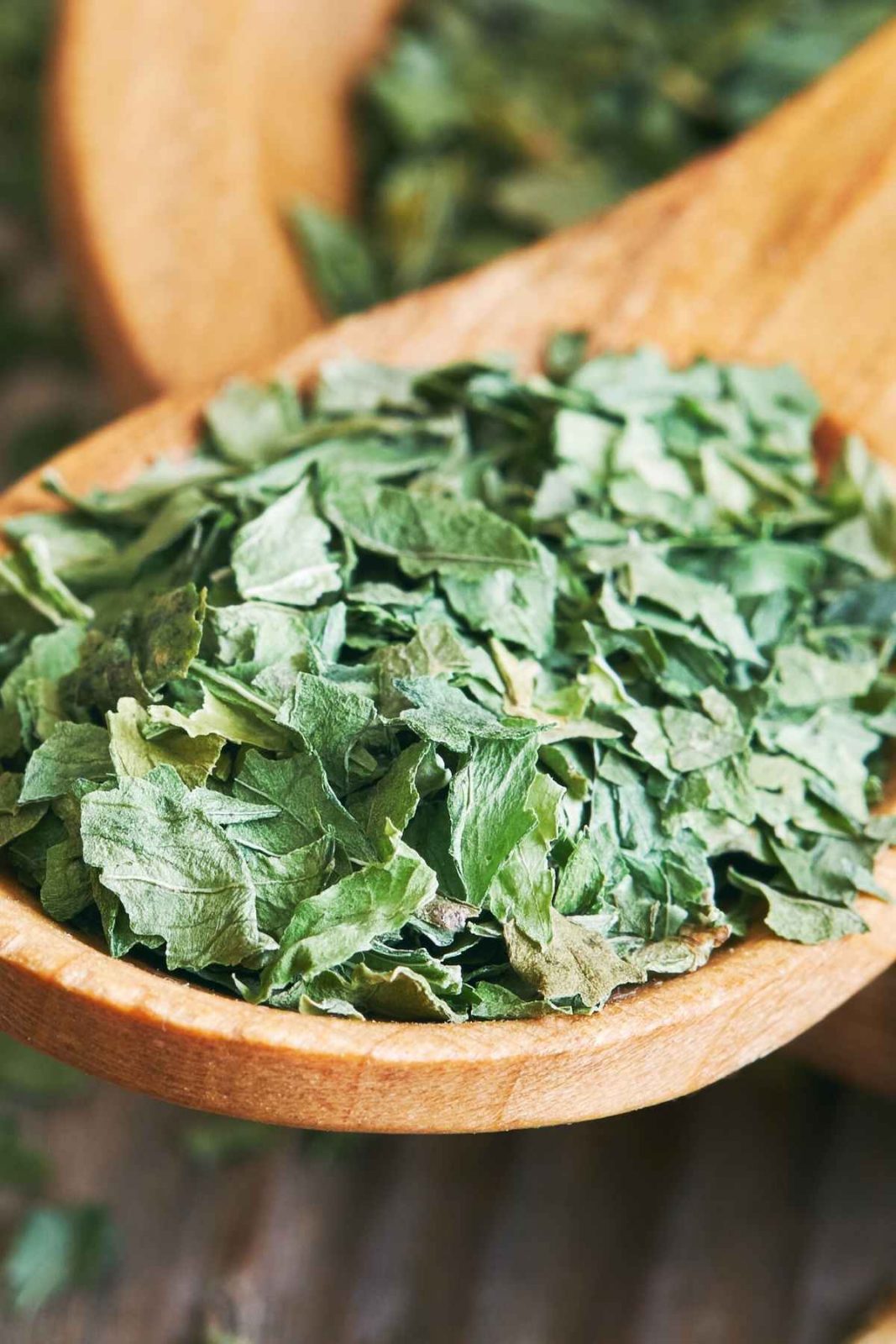 Celery Leaves