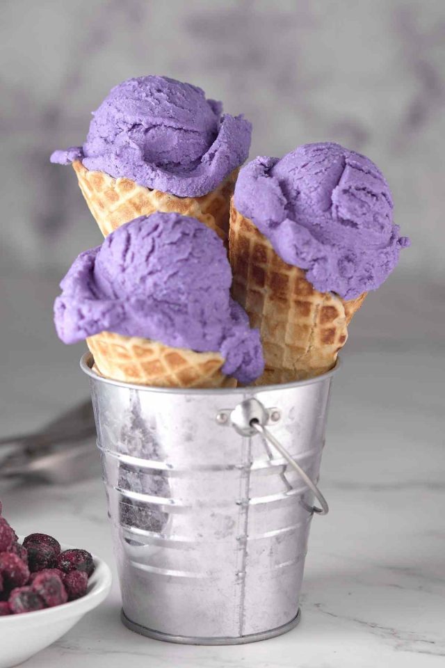 Blueberry Ice Cream