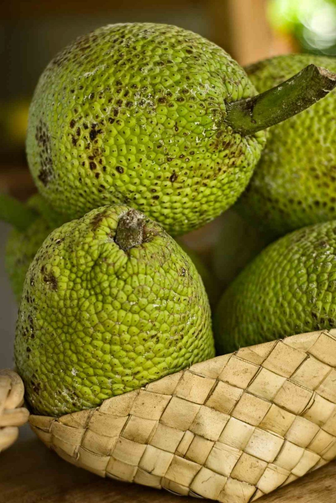 Breadfruit