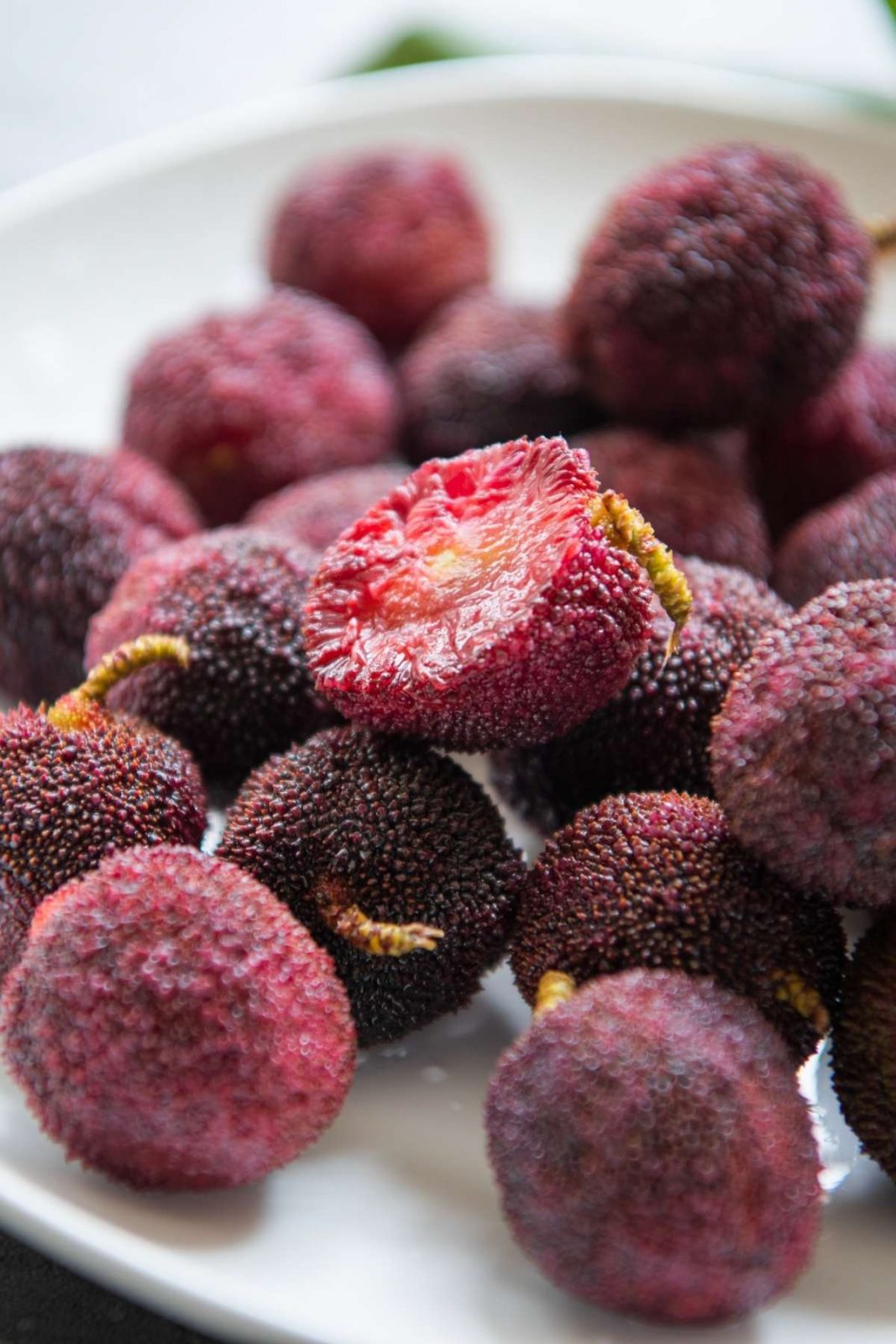Chinese Bayberry