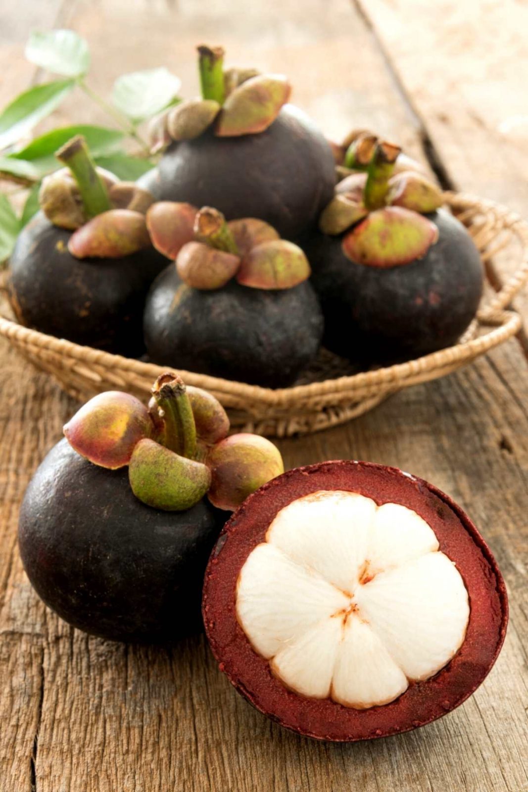 Mangosteen
