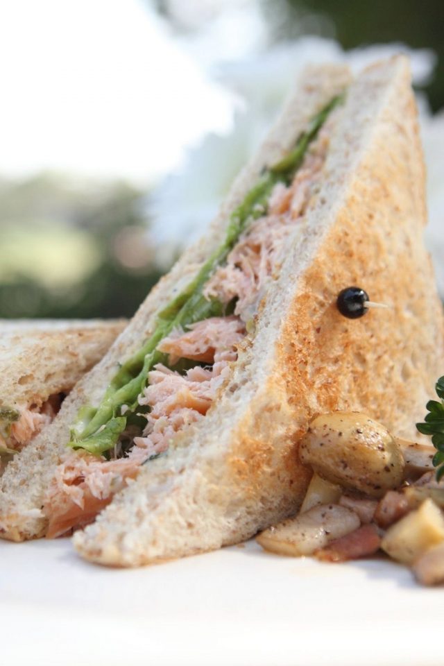 Salmon Sandwich