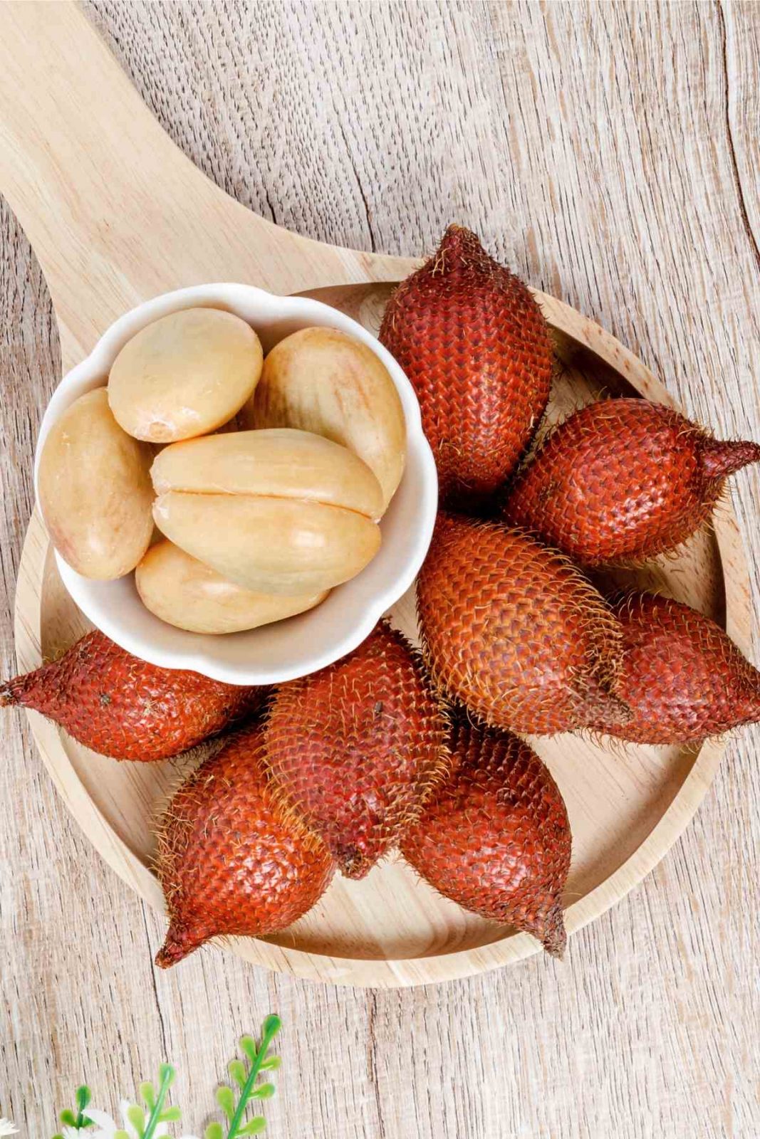 Snake Fruit