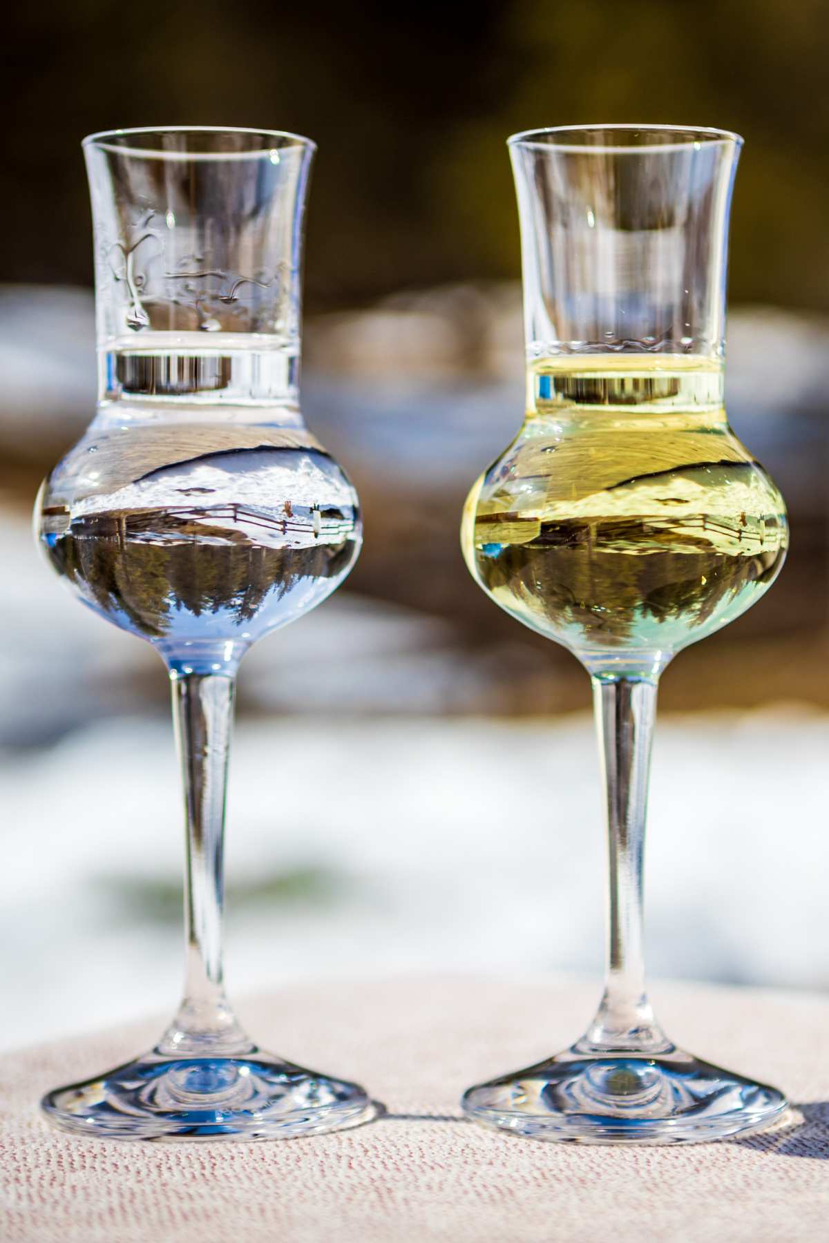 What Is Schnapps A Spectacled Owl