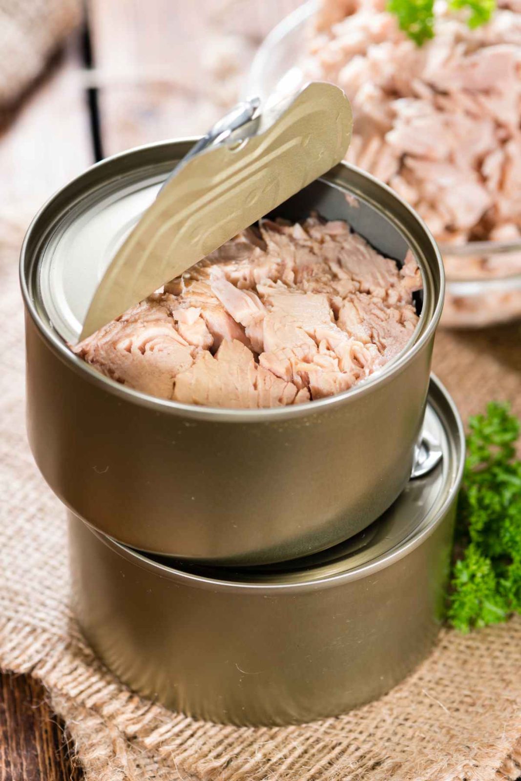 Canned Tuna